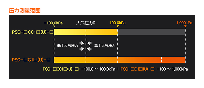 PSQ-12.jpg